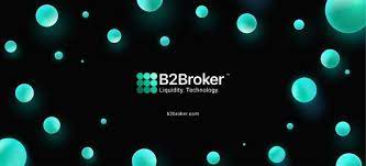 B2broker On B2core How To Become A Market Leader In 2021 Finance Magnates