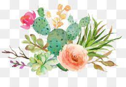 Flowers Png Flowers Transparent Clipart Free Download Watercolour Flowers Wedding Invitation Wat Free Watercolor Flowers Cactus Illustration Flower Clipart