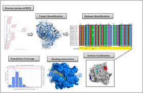 The viral fragment is pleomorphic, and may appear in the shape of a 6, a u, or a circle, and it is contained within a lipid. Vaccinomics Approach For Scheming Potential Epitope Based Peptide Vaccine By Targeting L Protein Of Marburg Virus Springerlink