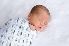 Eucalyptus Swaddle, Personalized Newborn Swaddle, Girl and Boy Swaddle,  Baby Name Swaddle, Eucalyptus Leave Blanket, Nursery Decor, Gift