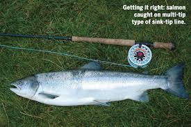 welcome welcome to fly fishing and fly