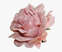 When the light hits it, the glitter is simply dazzling! Flowers Pastel Grunge Aesthetic Pink Glitter Rose Png Transparent Png Transparent Png Image Pngitem