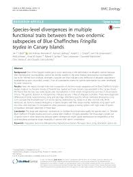 Sol madeira (ponta do portugal / hits. Pdf Species Level Divergences In Multiple Functional Traits Between The Two Endemic Subspecies Of Blue Chaffinches Fringilla Teydea In Canary Islands