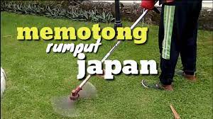We did not find results for: Proses Memotong Rumput Jepang Youtube