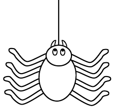 So what are you waiting for download which spider he loved to color of all these 10 spiders? Spider 603 Animals Printable Coloring Pages
