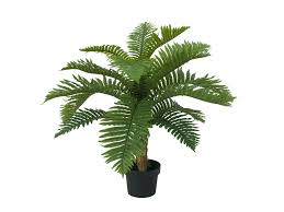 The palm centre is a uk nursery supplying interesting palm trees and other exotic plants from around the world. Cycas Palm Tree Artificial Plant 70cm Europalms