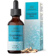 Image result for Cryptolepis oblongifolia