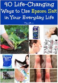 Helps speed up plant growth, improves overall health of plants, and helps repel some. 40 Life Changing Ways To Use Epsom Salt In Your Everyday Life Diy Crafts