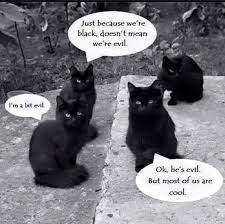 Black Cat Thoughts I Think This About Myself From Time To Time Cats Black Cat Crazy Cats