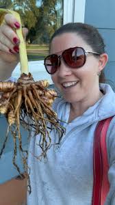 Reasons Curcuma is truly an underrated beauty 🌷