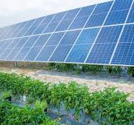 Agrovoltaics, agricultural efficiency with photovoltaic ...