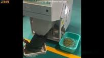 Cardamom Color Sorter Machine | High Sorting Capacity | Mark Sorter