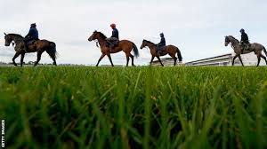 Despite no crowds being allowed in there will still be plenty of action, including the cheltenham gold cup. Bxfvtxs Al56jm