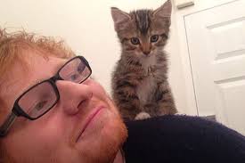 Muere Graham, uno de los gatos de Ed Sheeran