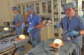 What do pediatric surgeons do? Surgery Boston Children S Hospital