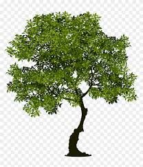 نتیجه جستجوی لغت [leaned] در گوگل