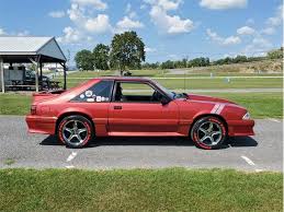 Image result for Wild Strawberry 1992 Tempo