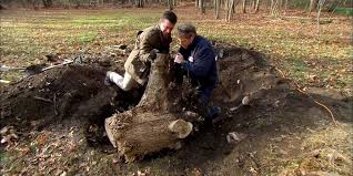 If the roots that you want to remove are underground, you'll need to reveal them with a shovel. How To Remove A Tree Stump Video Instructions This Old House