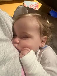 Any advice for heartworm treatment in dogs?