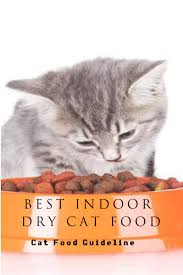 There are many factors present that may the indoor/outdoor debate also comes into play on both the uti as well as the ingestion of foreign object issues. Best Indoor Dry Cat Food Dry Cat Food Cat Food Reviews Cat Nutrition