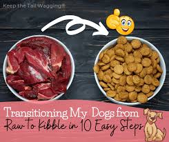 Remember these tips when switching your dog's food: Transitioning My Dogs Back To Kibble In 10 Easy Steps Keep The Tail Wagging