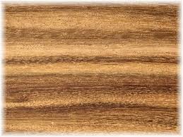 Image result for Xylia torreana