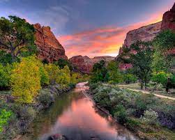 The Grotto From The Virgin River Zion National Park Imgur Zion National Park Camping Zion National Park National Parks