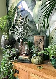Bringing The Outside Inside Plants Interior Plants Indoor Plants