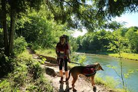 We did not find results for: The Manistee River Trail Tips For The First Time Backpacker Aum Journeys Llc