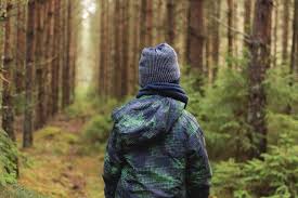 Boy In Woods Free Stock Photo Libreshot Stock Images Free Free Stock Photos Stock Photos