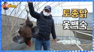 #귀촌일기 #산다는건이런게아니겠니 #경북 #군위 #화산마을 #사과 #오미자 #옥수수 #감자 #건고추 #절임배추 #강원도 #평창 #흥정계곡 #캠핑 #울진 #돌미역 #전남 #구례 #정산서다실 #찻집 #평창캠핑장 #평창야영지 ë©´ì—­ë ¥ì— ì¢‹ì€ í† ì¢…ë‹­ ì˜»ë°±ìˆ™ ë¨¹ì–´ìœ  Boiled Chicken With Rice And Sumac ë‚¨ìž ìš°íˆ¬