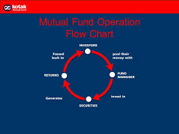 mutual fund concept organisation structure advantages and