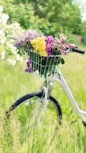 So che non si dovrebbe chiamare così un gruppo di fiori, magari mazzetto, ma questa pianta di margherita che ho incontrato non ricordo più in quale sentiero, mi piaceva moltissimo e la parola grappolo non ci sta poi neppure. 15 Migliori Sfondi Naturali In 4k E Full Hd Per Desktop E Dispositivi Mobili 2021