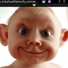 Rhys McCormick (@rhysieboy112233)