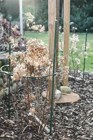 Im märz startet die gartensaison. Der Gartenmonat Marz Schnitt Und Rasenpflege Vintage Diary