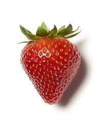Close Up Of One Strawberry Fruit Photography Fruit And Veg Fruit Art