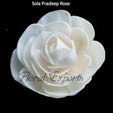 We are here to help you grow your business in any way that we can! Sola Pradeep Rose In 2020 Sola Flowers Flowers Canada Flower Making