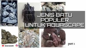 Aquascpe sendiri merupakan akuarium yang telah di hias sedemikian rupa menggunakan bahan batu serta tanaman air. Jenis Batu Populer Untuk Aqua Scape 07 Youtube