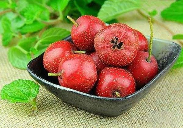 Loại quả khô này chính là "kẻ thù của ung thư": Ngâm nước uống mỗi ngày còn  giúp hạ huyết áp, "trẻ hóa" mạch máu, đột quỵ cũng phải tránh xa
