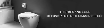 The Pros and Cons of Concealed Flush Tanks in Toilets – Ruhe
