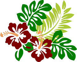 Download Hibiscus Clipart Svg Free Hibiscus Svg Free Transparent Free For Download On Webstockreview 2020 PSD Mockup Templates