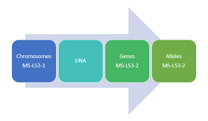 (last modified on march 12, 2019). Lesson Have Your Dna And Eat It Too Betterlesson