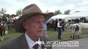 Australian Lowline Cattle Association Youth Activities