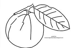 28 gambar sketsa pohon jambu biji terkeren. 35 Terbaik Untuk Sketsa Gambar Daun Jambu Biji Tea And Lead
