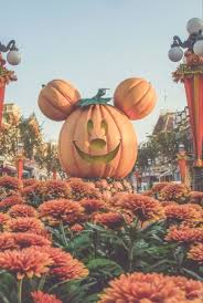 Disneyland In Halloween In 2020 Halloween Wallpaper Iphone Disneyland Halloween Disney World Halloween