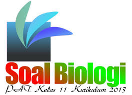 Maybe you would like to learn more about one of these? 50 Soal Biologi Kelas Xi Semester 2 Beserta Jawaban Kurikulum 2013 Perpuskampus Com