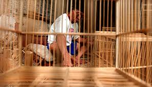 Segera kirim permintaan beli anda 2. Desa Jaddih Sentra Kerajinan Sangkar Burung Bisnis Tempo Co