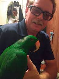 Welcoming a new member with a photo of their dad's parrot