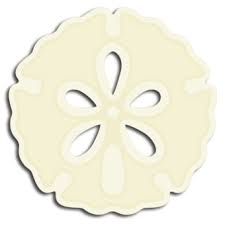 Free Svg File 04 16 14 Sand Dollar Svgcuts Com Blog Svg Free Files Free Svg Svg