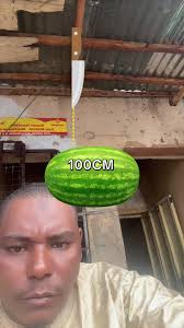 🛡HASSAN DAN HASSAN❤🛡 (@hassandanhassan0)’s videos with original sound